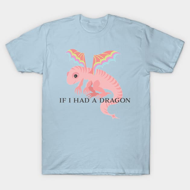 If i had a dragon T-Shirt by Flyingrabbit